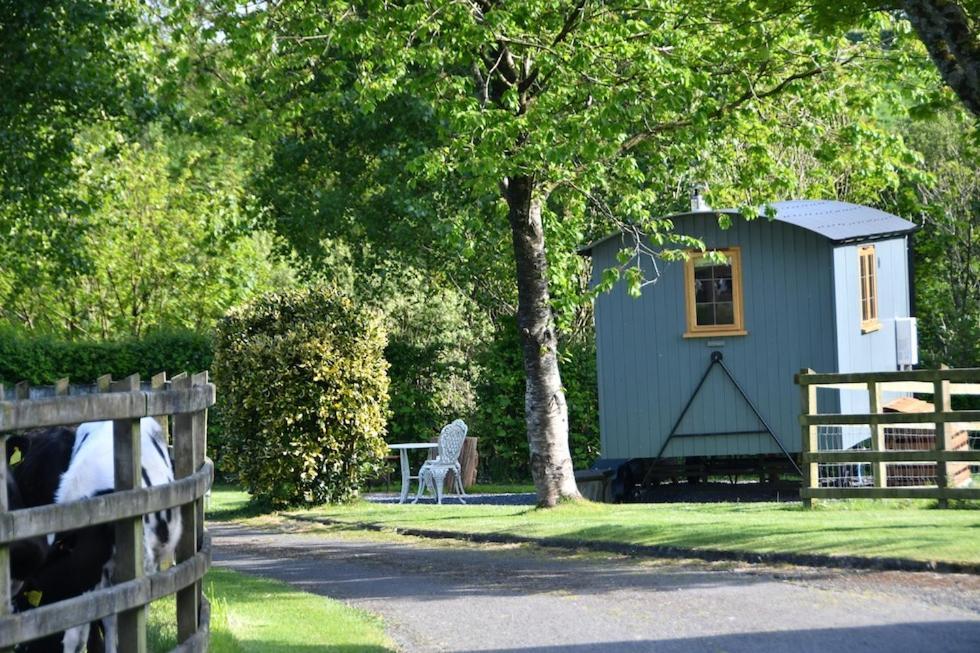 The Shepherds Hut Carmarthen Esterno foto